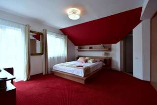 Отели типа «постель и завтрак» GreenWood Residence Тимишоара Двухместный номер Делюкс с 1 кроватью-1