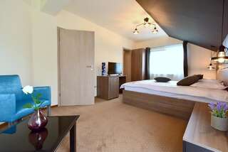 Отели типа «постель и завтрак» GreenWood Residence Тимишоара Двухместный номер Делюкс с 1 кроватью и балконом-7