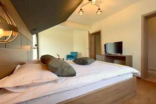 Отели типа «постель и завтрак» GreenWood Residence Тимишоара Двухместный номер Делюкс с 1 кроватью и балконом-8